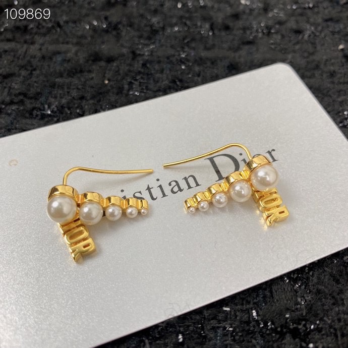 Christian Dior Earrings